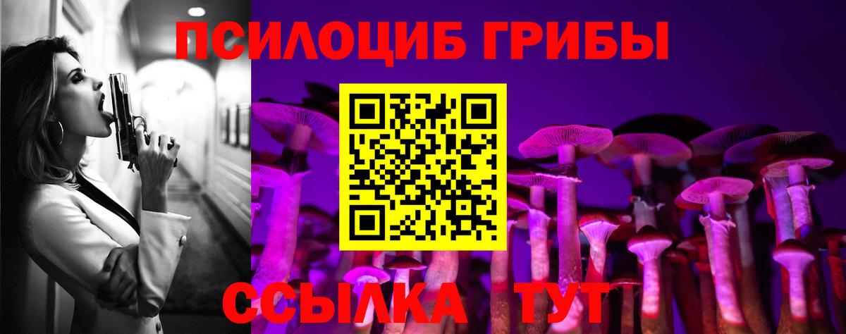 Псилоцибиновые грибы прущие грибы Кушва