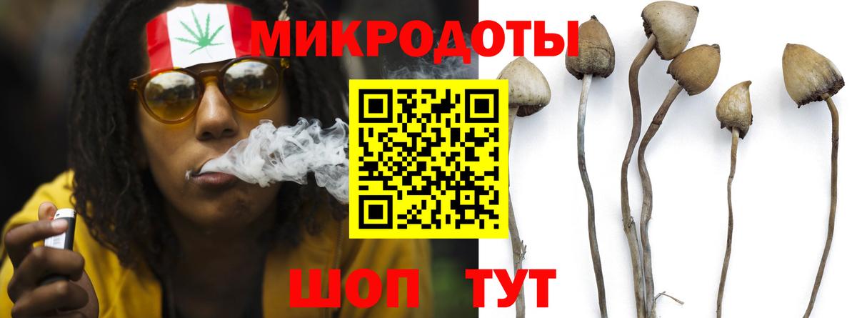 Кушва  Псилоцибиновые грибы Magic Shrooms  цены   Вход с VPN  Галлюциногенные грибы прущие грибы 